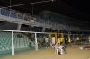 DSC_0447.jpg